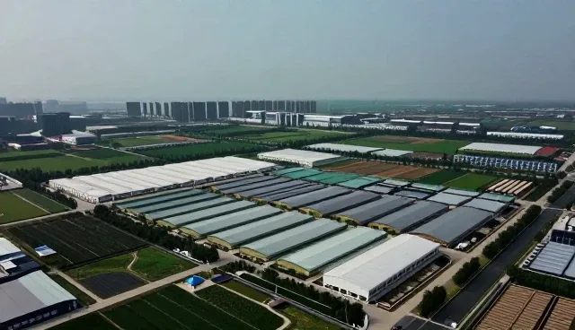 ERP管理系统实施中常见问题及处理策略